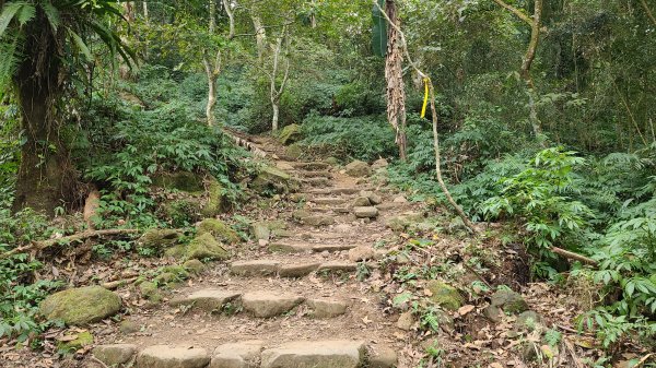 2021-1202 馬那邦山O型1535338