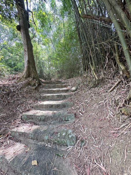 南埔村觀音步道和挑水壢古道順遊客家村落2558745