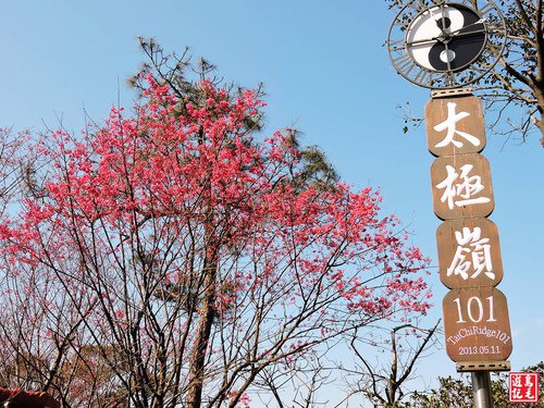 【新北市】土城太極嶺步道