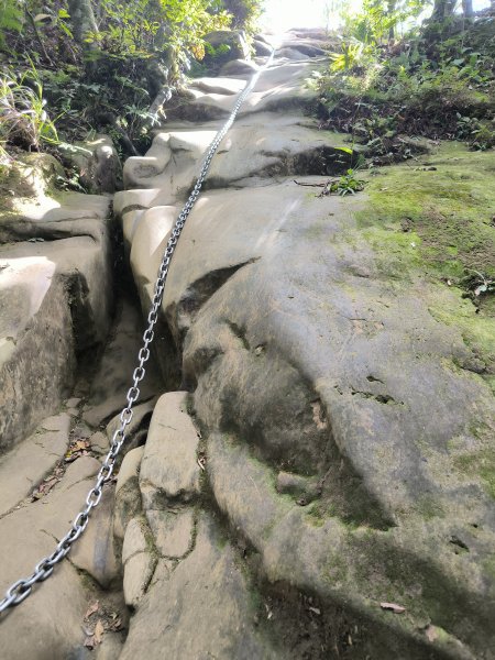 20251018微笑山線：【二格山系】皇帝殿稜線段2918641