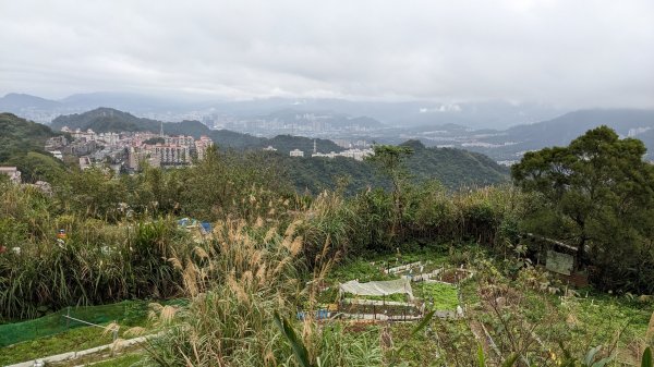 20230124_年初二_新店文筆山_土城清水大尖山_新加坡嶺_青龍嶺2011173