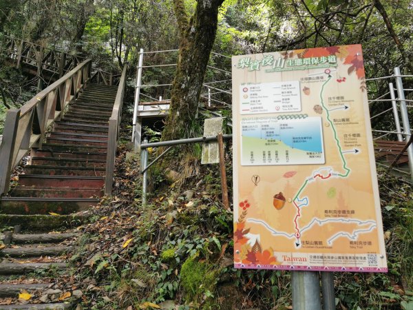 梨山賓館生態環保步道-陡階梯及特色瓦片道1049441