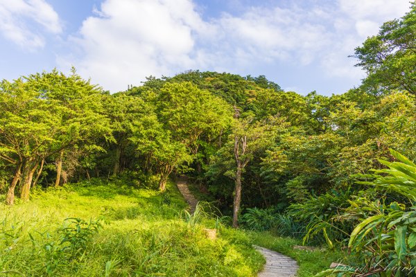 [新北]汐止大尖山2906097