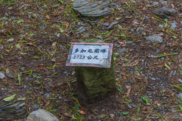 [百岳]南湖群峰3133426