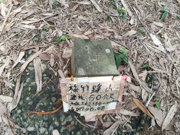 雙溪蝙蝠山-苕谷瀑布-麻竹坑山-梅竹蹊山2793955