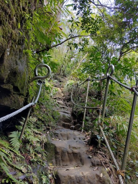 2022 3/9 孝子山登山步道1636947