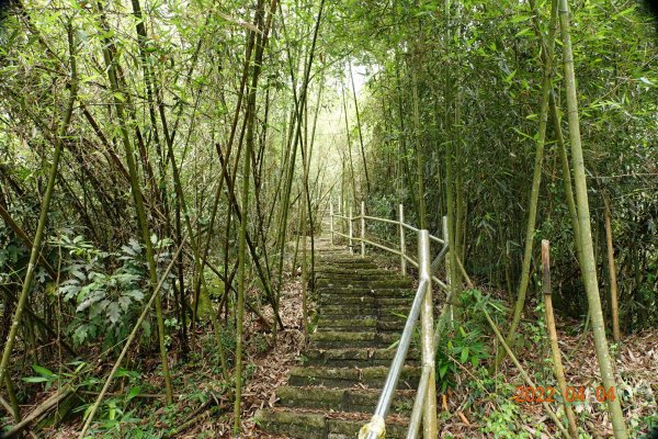 嘉義 番路 烏心石山1665784