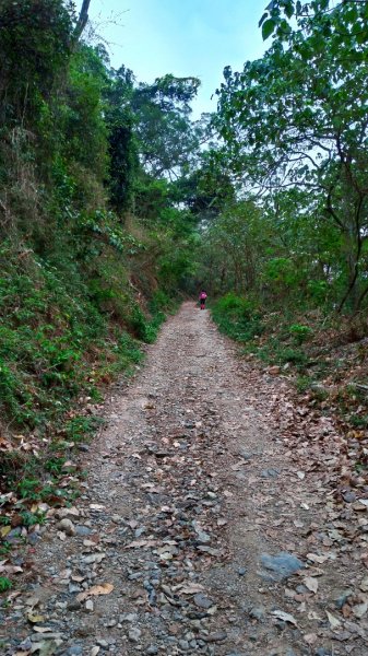 小百岳【尾寮山】905212