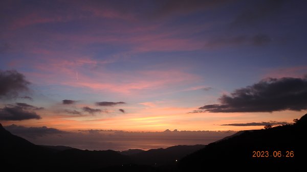 雲山水花鳥蝶 - 天龍國阿伯的日常 6/262195470