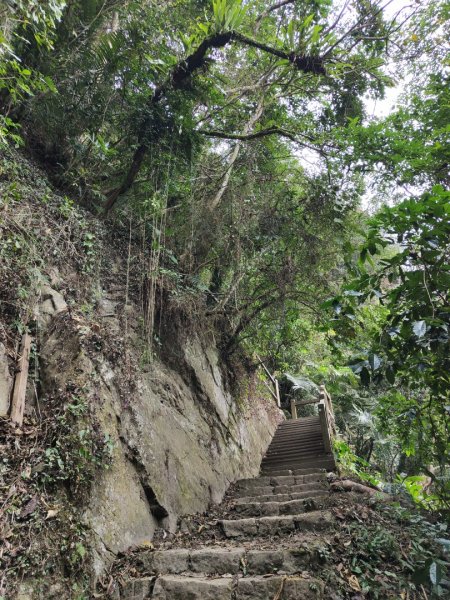 2023.12.23 崁頭山2833306