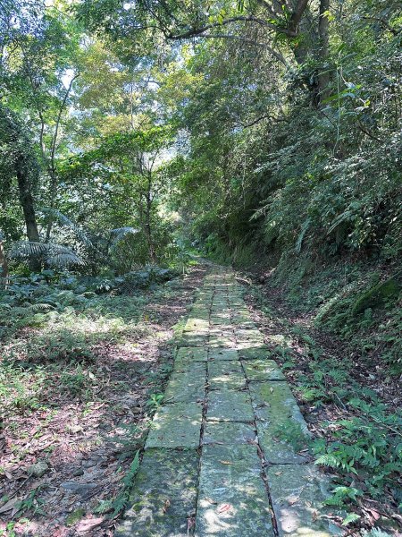 獅山古道走一遭獅頭到獅尾2564167