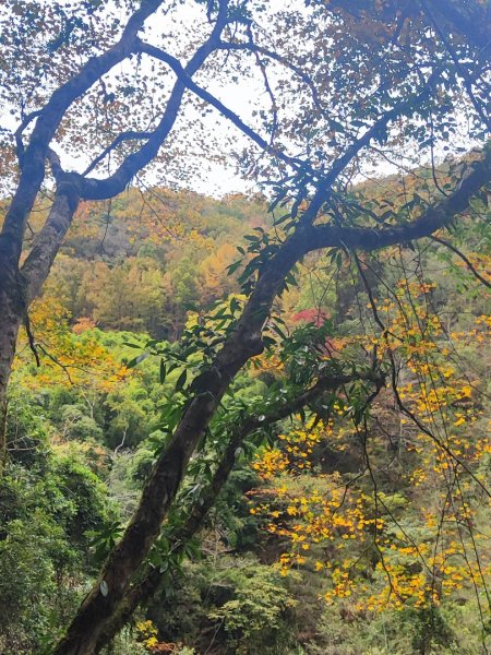 霞喀羅古道全線解鎖（石鹿到養老）2961030
