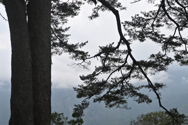 谷關七雄-馬崙山1st2888327