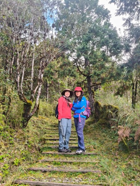 翠峰湖望洋山步道2940127