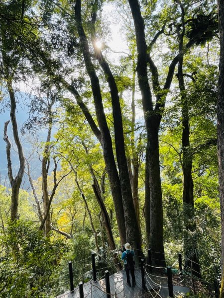 1141129巨人之手｜雪山坑登山步道2949161