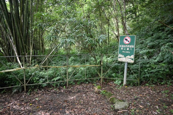 2025_0712 福山植物園2836199