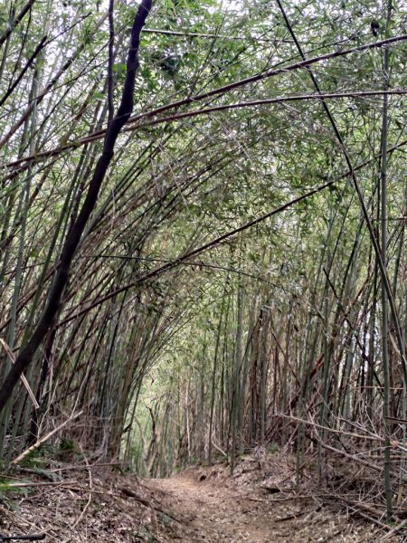 【新竹縣芎林鄉】文林古道2833078