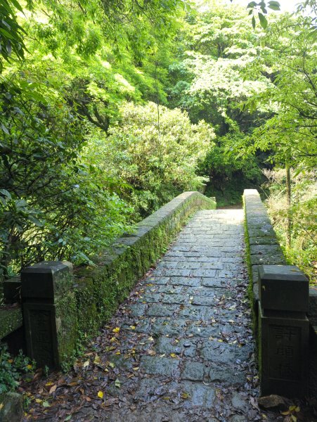 2025.04.27－金包里大路~小油坑縱走2770896