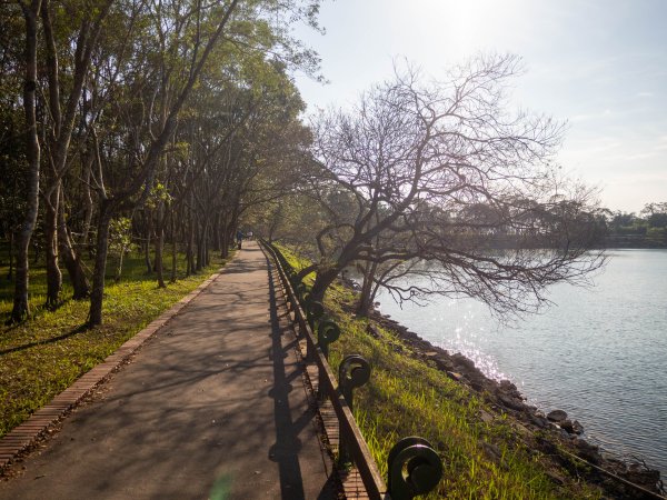 日月潭環湖健走2977666