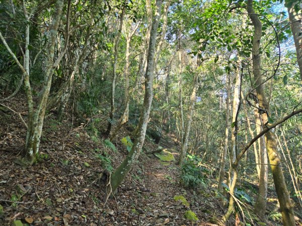 水雲三星～上島山（鳥嘴山）2931237