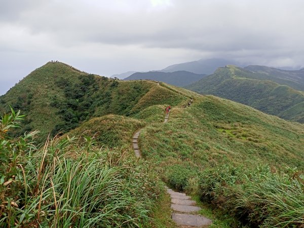 【新北-臺灣百大必訪步道】灣坑頭山→福德山→桃源谷草嶺線→大溪線→蕃薯寮山→大溪火車站1524573