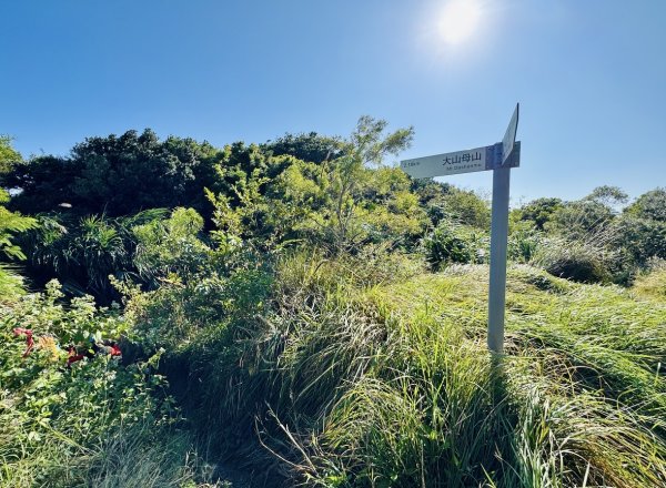 恆春大縱走:鎮南宮-赤牛嶺-大山母山(小百岳#81)-南灣出