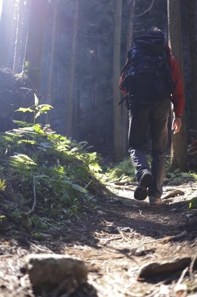 登山健行後，我的生活有什麼改變？