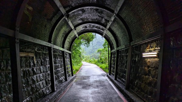 金字碑古道,大粗坑步道2518860