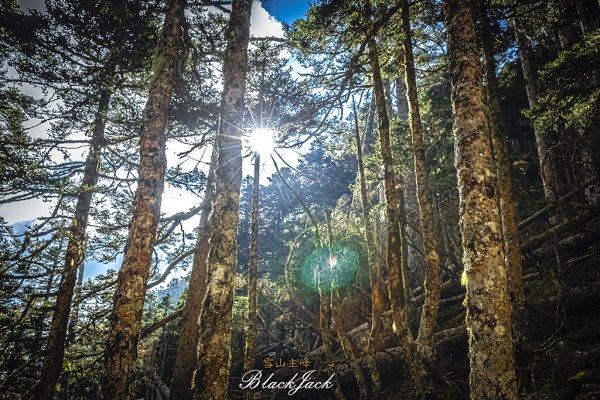 雪山主峰一日單攻963339