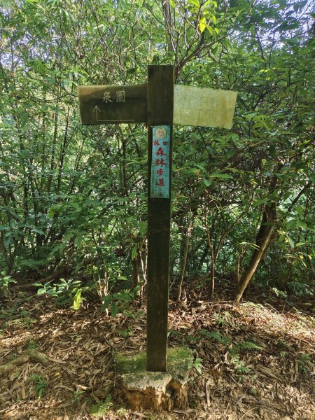 林口頂福巖森林步道2838126