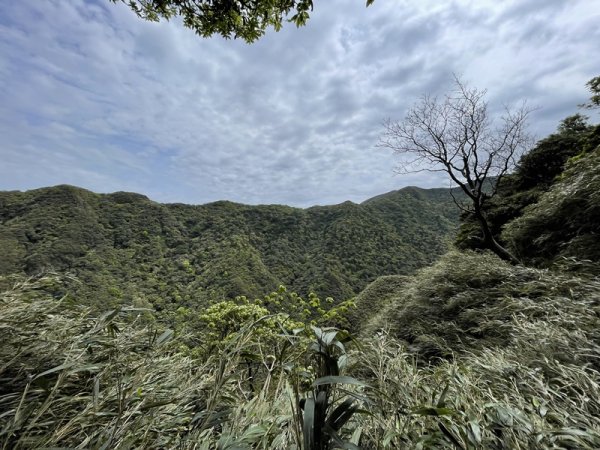 小觀音山清玉線2756604