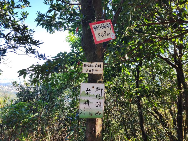 小百岳No.20⛰獅仔頭山2917939