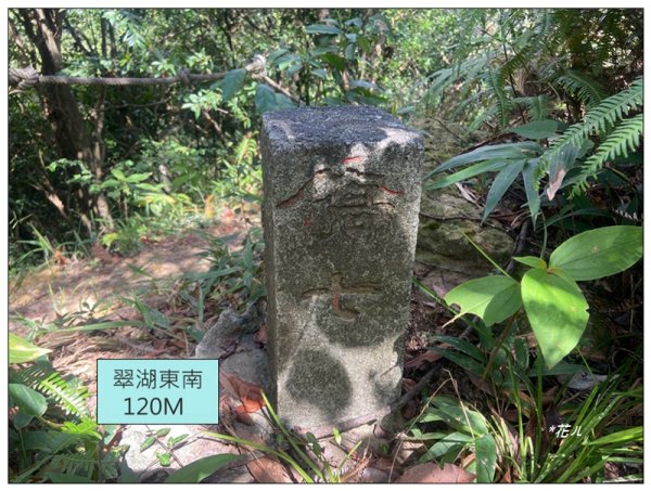 金龍湖、鷹石尖、老鷲尖、內溝山 O型一圈2966604