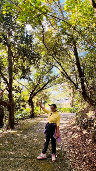 生態環境豐富的仁山植物園 感受鑑湖秋月-梅花湖的魅力2953872