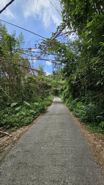 【絕版路線請勿跟進】十字路走得恩亞納-大O繞13.4K2791575