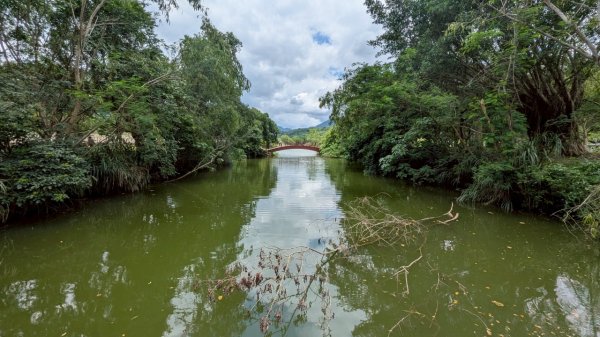 114.06.21山豬湖自然生態之行2819029