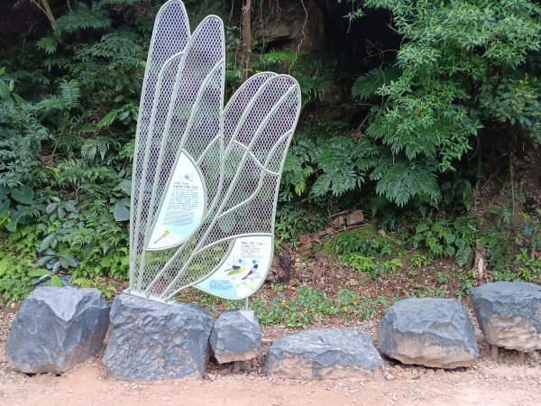 微笑山線大棟山系百年大榕樹段+大湖坑步道2981051