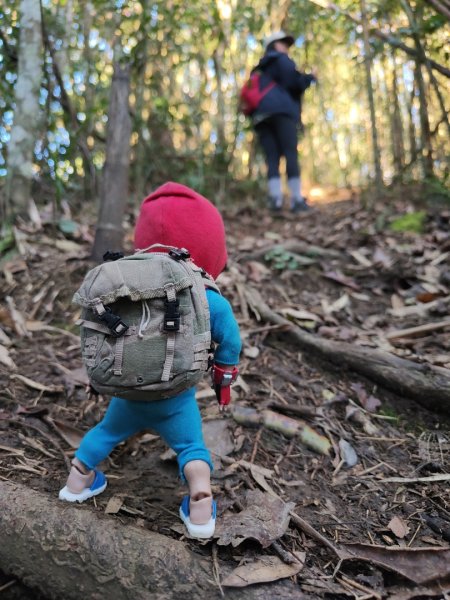 2024.02.01 凌空廊道登煤源山2843947