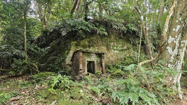 20250902大湖山東南峰-康樂山北峰-明舉山東峰-安湖公園-火炭坑山(騎車爬山)2878439
