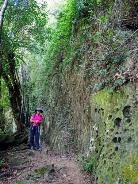 打鐵寮古道、石厝坑山、白石山O走1133655