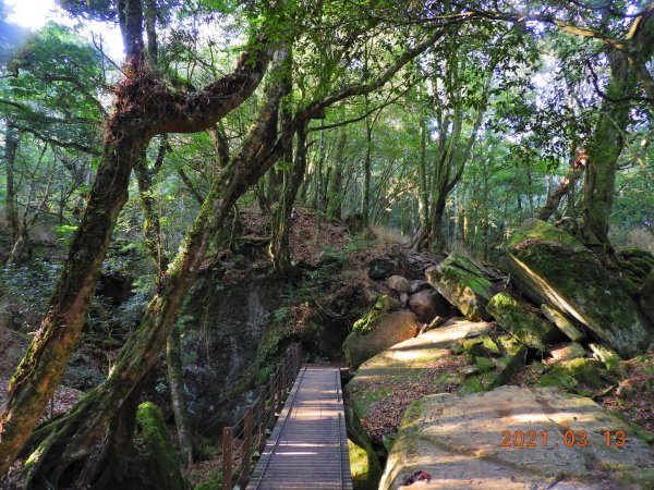 苗栗 南庄 加里山、哈堪尼山1304161