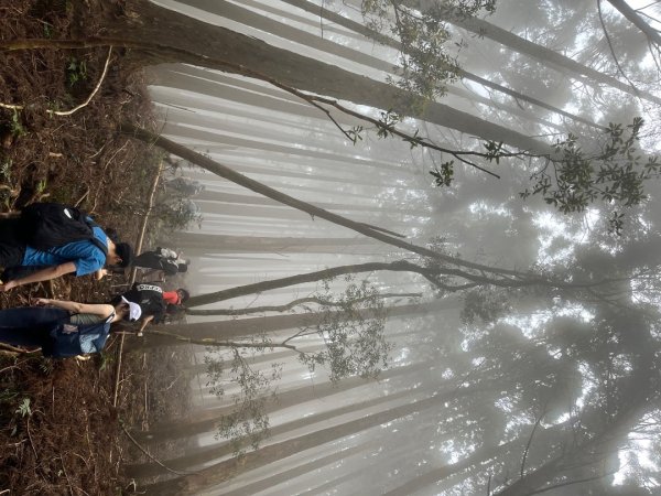 20250503_李棟山步道（新竹小百岳）2855849