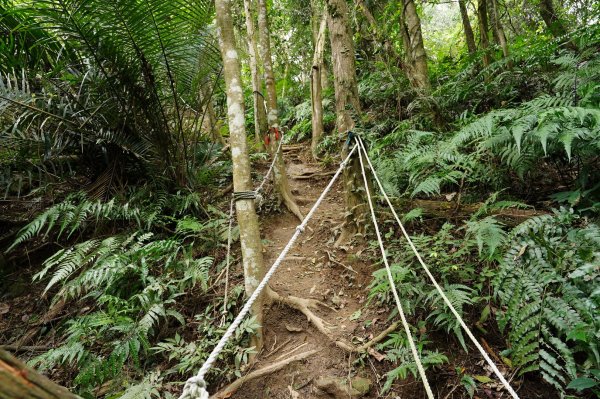 新竹 峨嵋 獅頭山、獅尾山、六寮山、猿山2450081