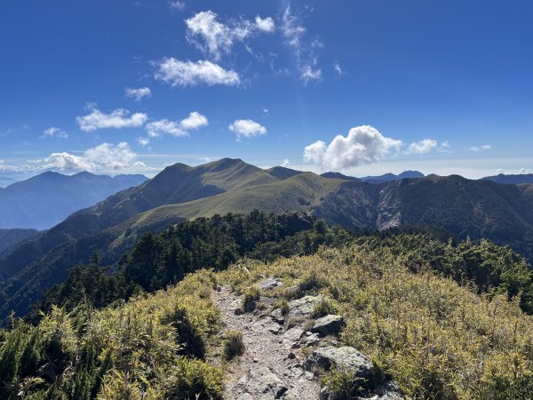 雪山西稜 2023_1105(D4B) 奇峻山2341914