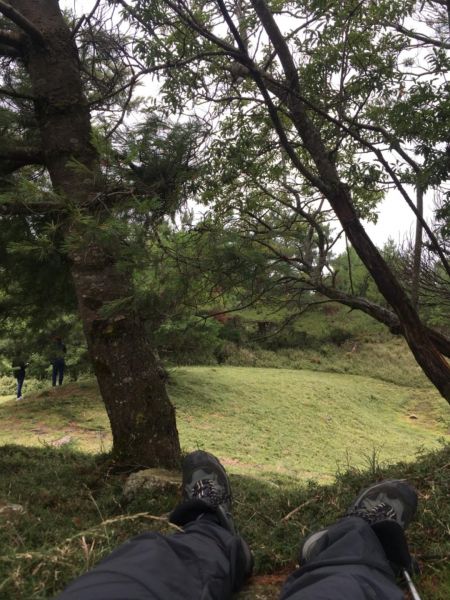 鹿林山388549