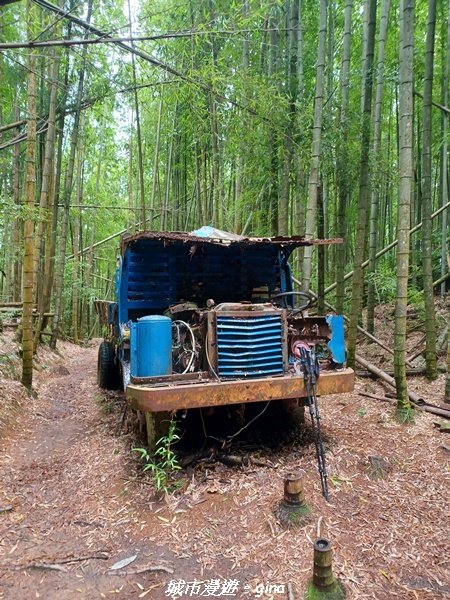 【台中和平】柳杉孟宗竹香杉步道林相豐富。 長壽山(肥崠山)山徑2880640