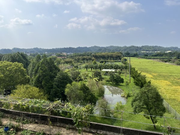 [皮皮獅Hike客任務-09/10] 2024_0831 南埔村觀音步道+挑水壢古道封面