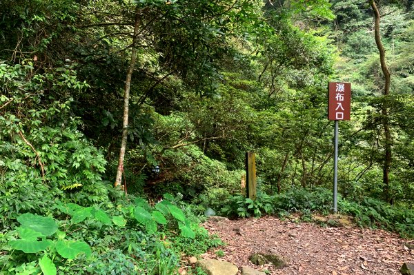 新竹尖石｜水田林道｜壯闊飛瀑秘境．鴛鴦谷瀑布群1574125