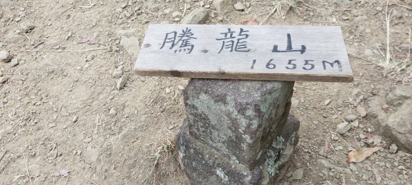 2024龍虎鳳越野2681801