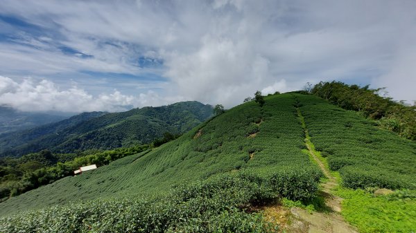 雲嘉九連峰1438957